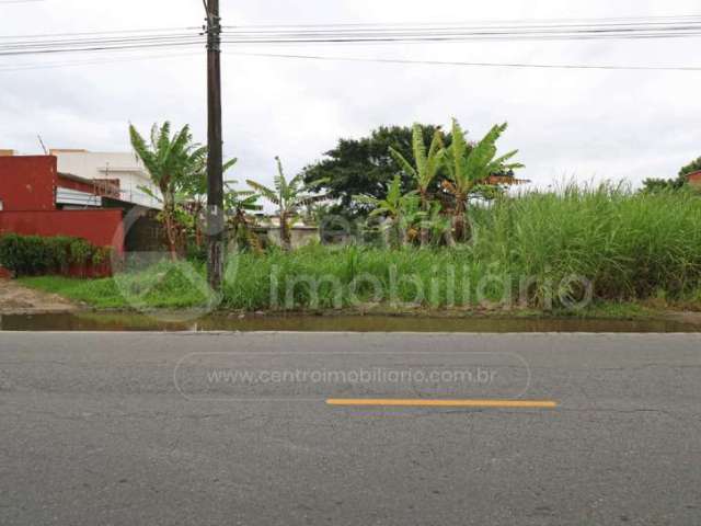 TERRENO à venda em Peruíbe, no bairro Balneario Josedy