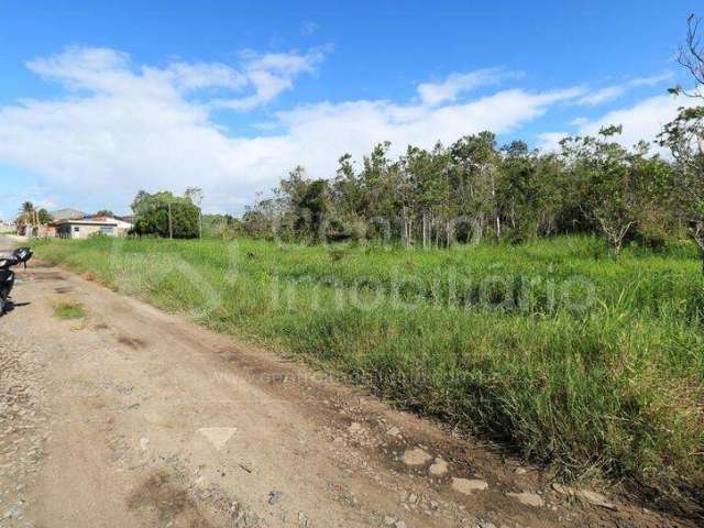 TERRENO à venda em Peruíbe, no bairro Cidade Nova Peruíbe