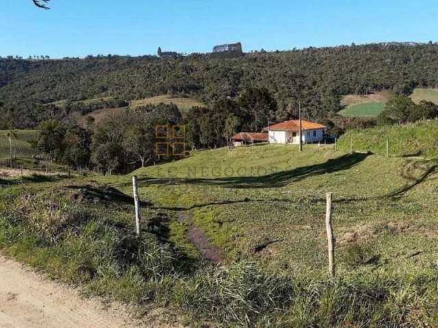 Sítio Para Vender com 3 quartos no bairro Barro Preto em Alfredo Wagner