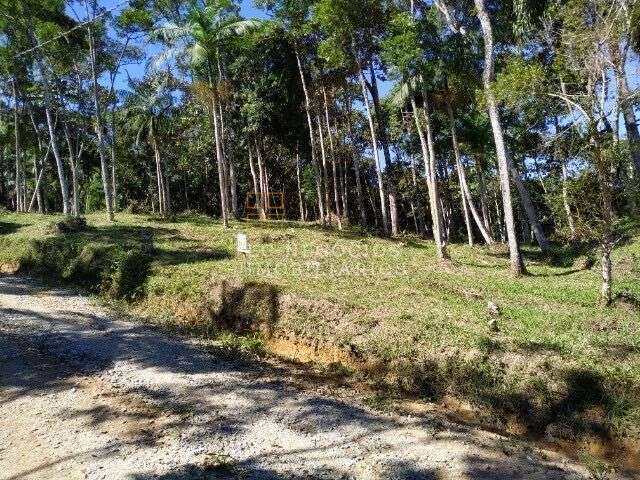 Terreno à venda no bairro Varginha - Santo Amaro da Imperatriz/SC