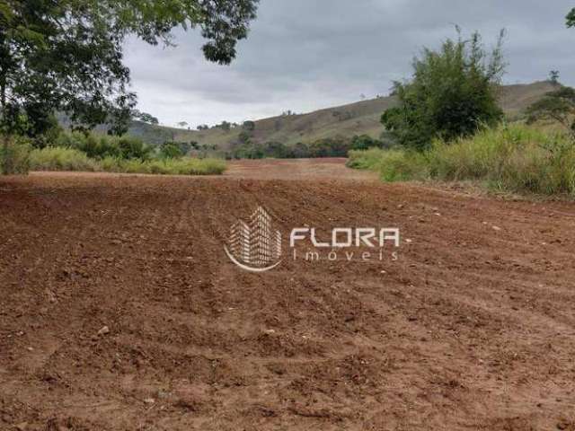 Fazenda em Senador Cortes Minas Gerais, medindo 99,58 hectares(ha), 20,57 Algueires Mineiros