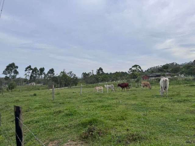 Sítio à venda, 10000 m² em Escalvados - Navegantes/SC