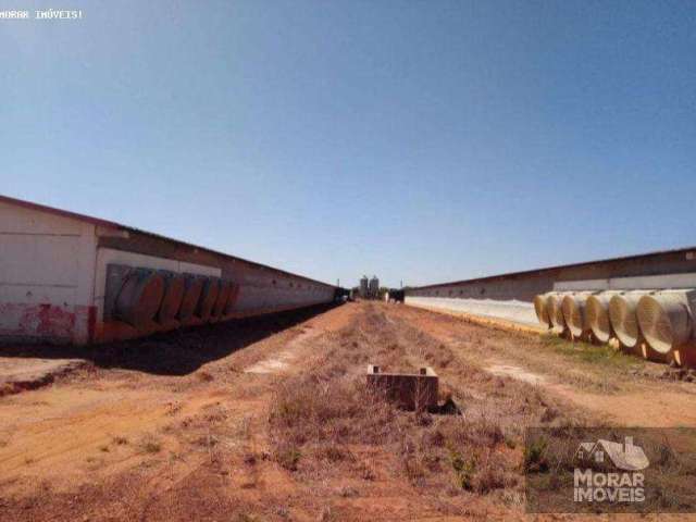 Fazenda para Venda em Nova Mutum, Centro