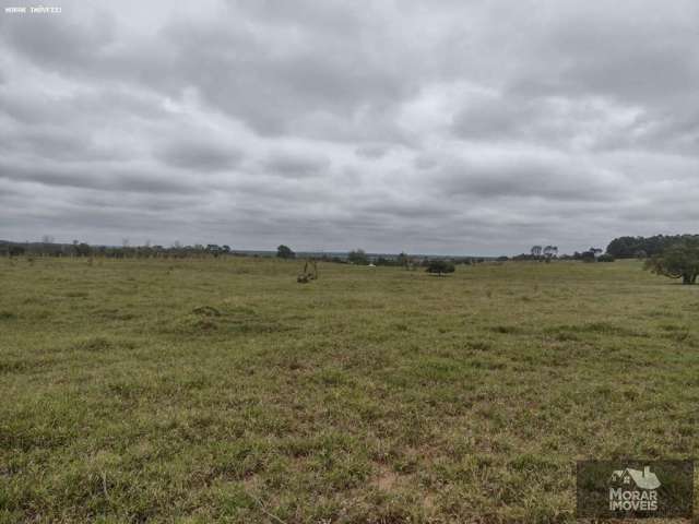 Fazenda para Venda em Piratininga, Professora Célida Aparecida Soares