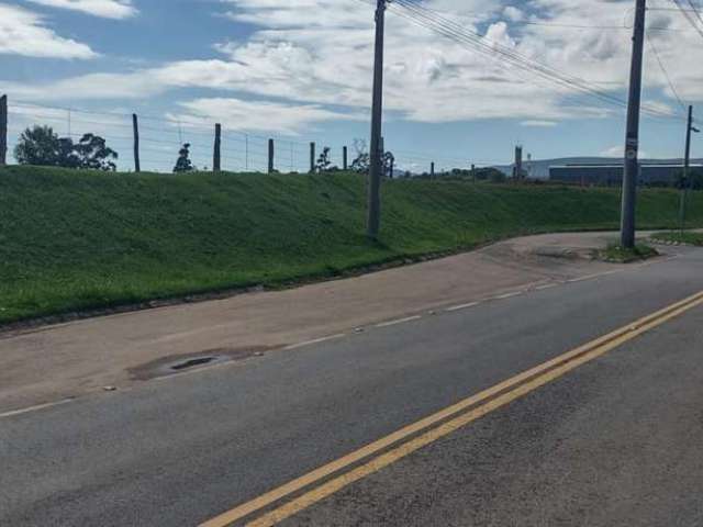 Área para Venda em São Paulo, Quinta da Paineira