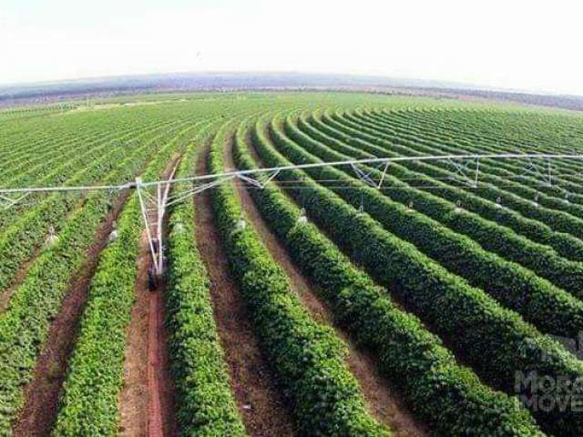 Fazenda para Venda em Belo Horizonte, Santa Amélia