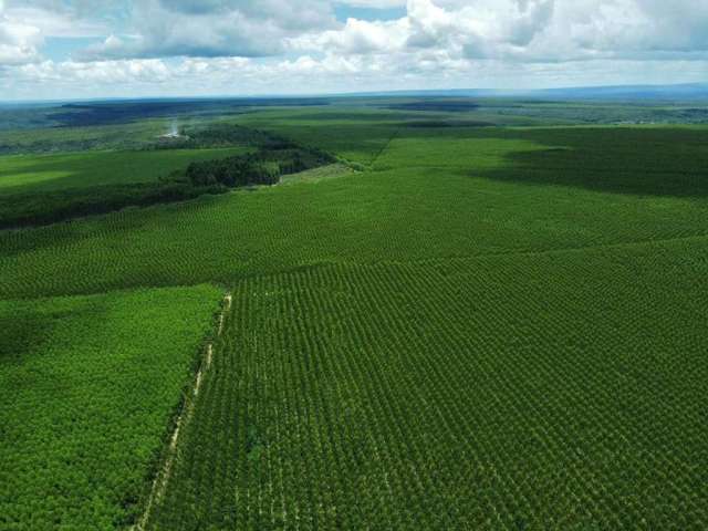 Fazenda para Venda em Contagem, Eldorado