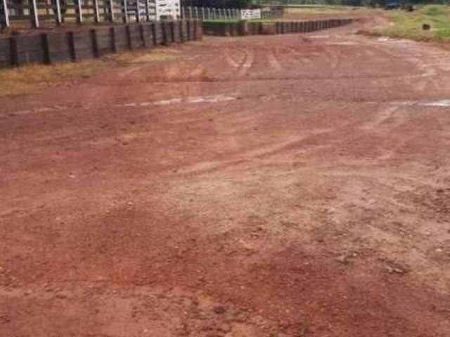 Fazenda para Venda em Santa Maria do Tocantins, Centro