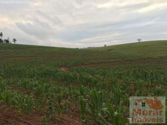 Fazenda para Venda em São Paulo, Vila Moinho Velho