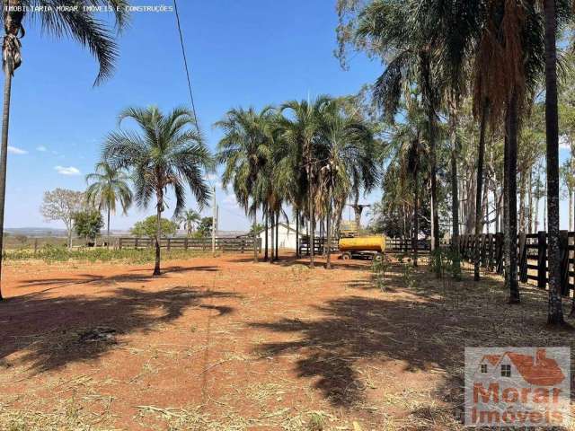 Fazenda para Venda em Costa Rica, costa rica