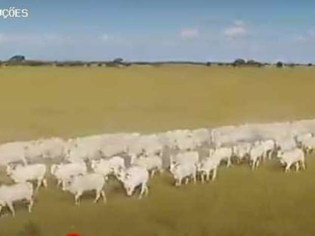 Fazenda para Venda em Contagem, 000