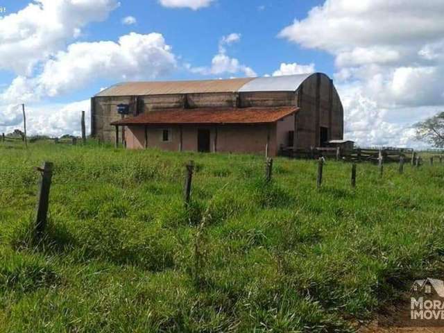 Fazenda para Venda em Torixoréu, 000