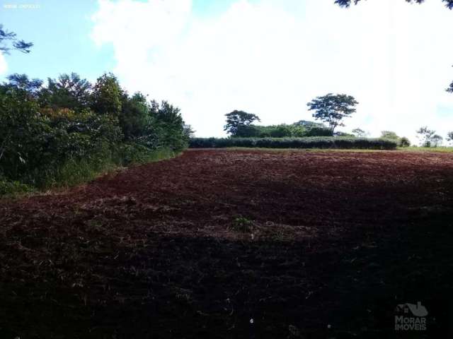 Fazenda para Venda em São Carlos, Vila Boa Vista