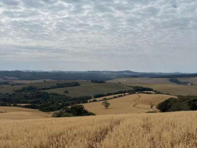 Fazenda para Venda em Belo Horizonte, Santa Amélia, 2 dormitórios, 1 banheiro, 1 vaga