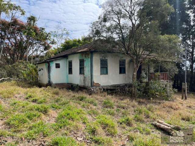 Fazenda para Venda em Belo Horizonte, Santa Amélia, 2 dormitórios, 1 banheiro, 1 vaga