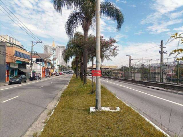 Terreno à venda, 384 m² por R$ 3.500.000,00 - Guaianases - São Paulo/SP