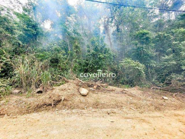 Terreno à venda, 4125 m² por R$ 190.000,00 - Itaocaia Valley (Itaipuaçu) - Maricá/RJ