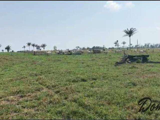 Fazenda à 120km de Juara disponível para venda