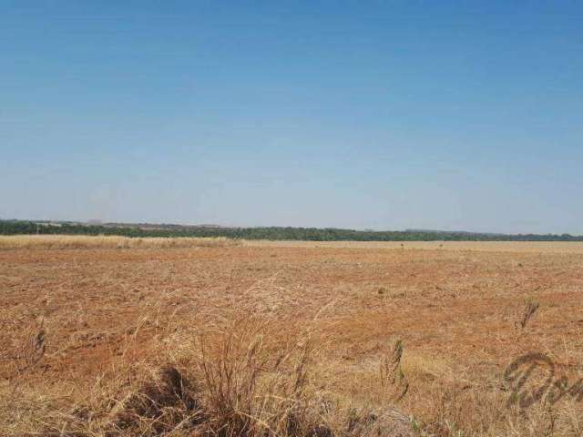 Chácara com 1 dormitório à venda, 36000 m² por R$ 3.000.000,00 - Zona Rural - Lucas do Rio Verde/MT