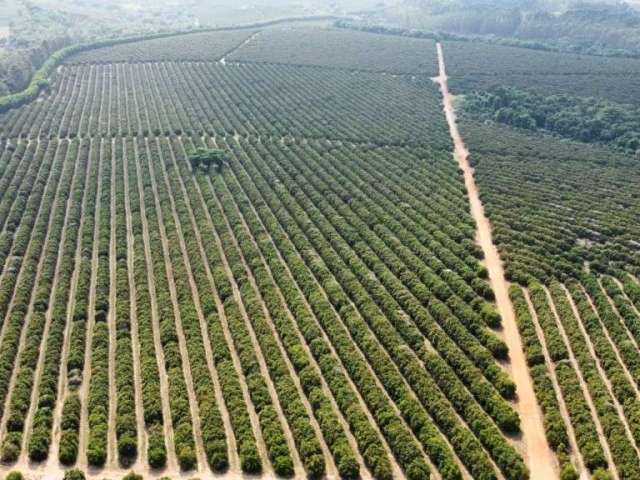 Fazenda para agricultura em laranja com 110 alqueires paulistas em franca - sp