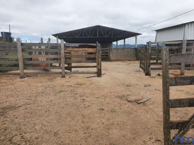 Fazenda dupla aptidão com 150 hectares em pouso alegre - mg