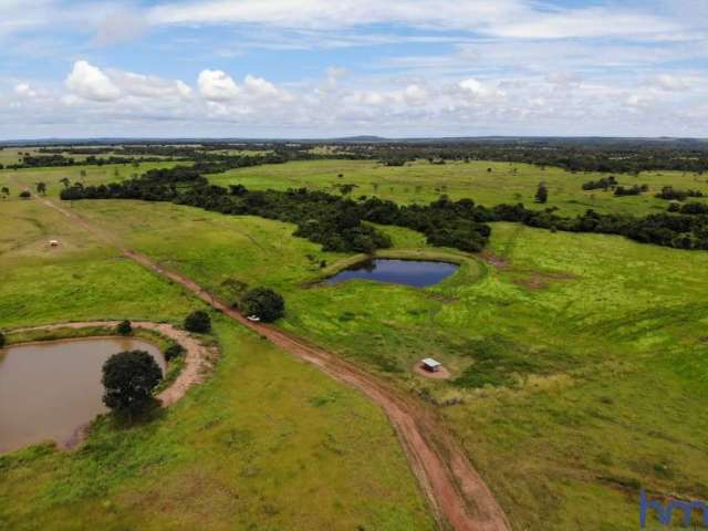 Fazenda com 336 alqueires dupla aptidão em porangatu - go