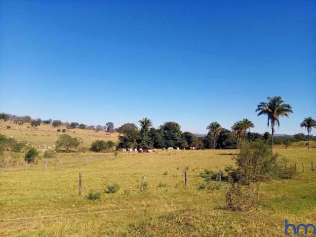 Fazenda dupla aptidão com 183 alqueires em caldas novas - go