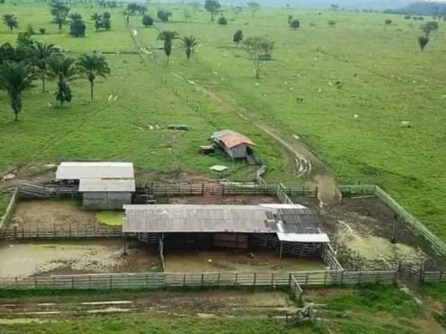 Fazenda com 220 alqueires dupla aptidão no município de são félix do xingu - pa