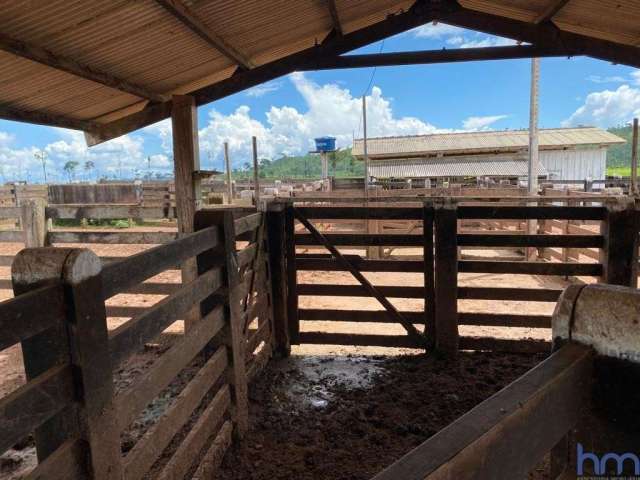 Fazenda com 380 alqueires dupla aptidão no município de são félix do xingu - pa