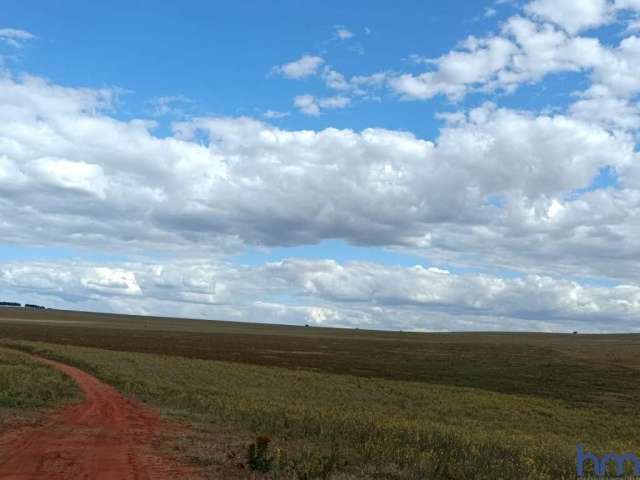 Fazenda com 805 hectares para arrendamento agrícola na região de serranópolis - go