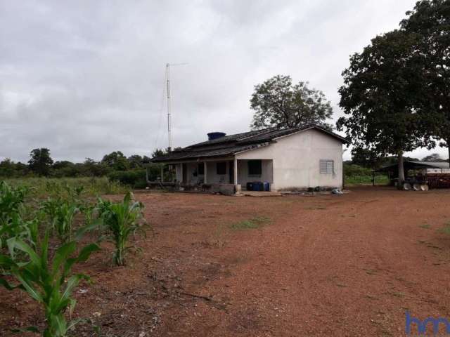 Fazenda dupla aptidão com 250 alqueires em dueré - to no vale do araguaia