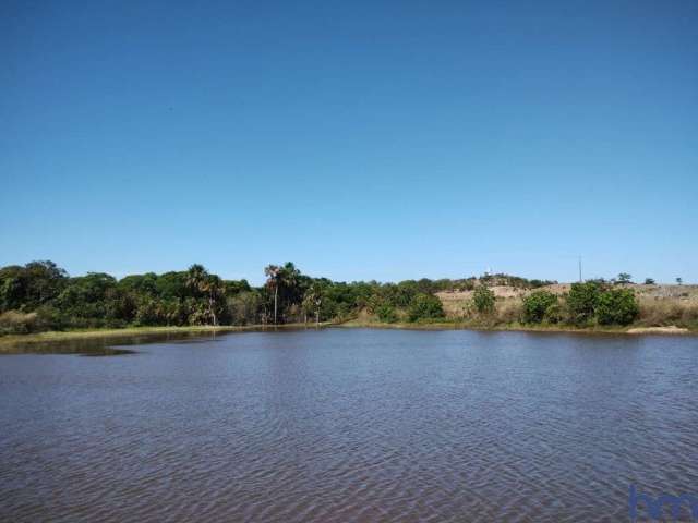 Fazenda com 137 alqueires dupla aptidão no município de cristalândia-to