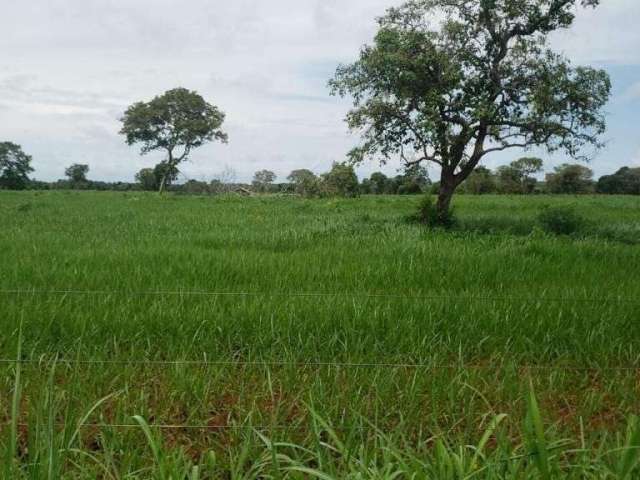 Fazenda com 311 alqueires dupla aptidão no município de porangatu - go