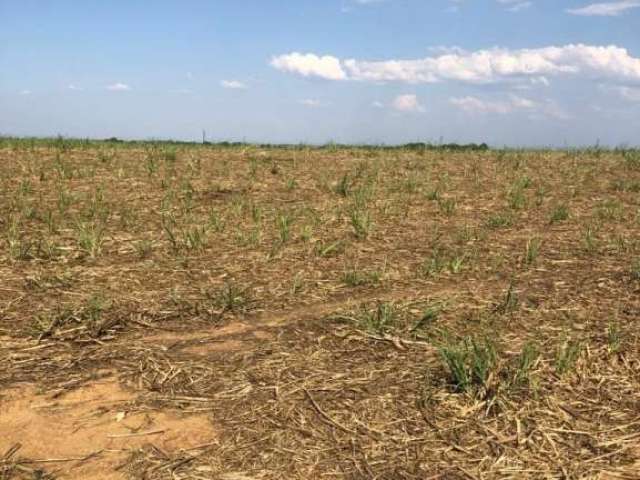 Fazenda para agricultura em cana com 81 alqueires em uruaçu - go