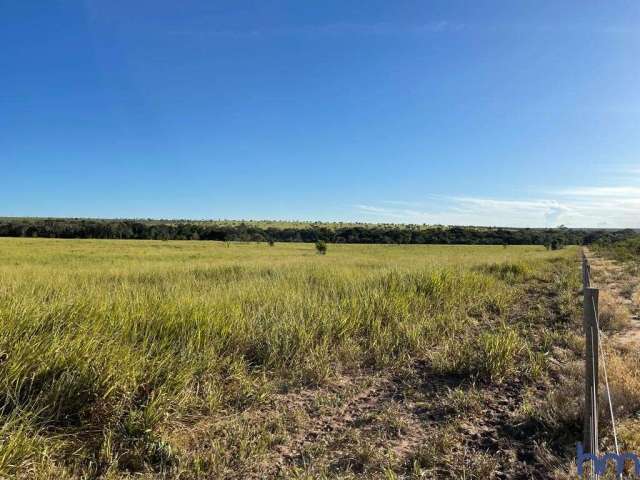 Fazenda dupla aptidão com 548 alqueires em nova lacerda - mt