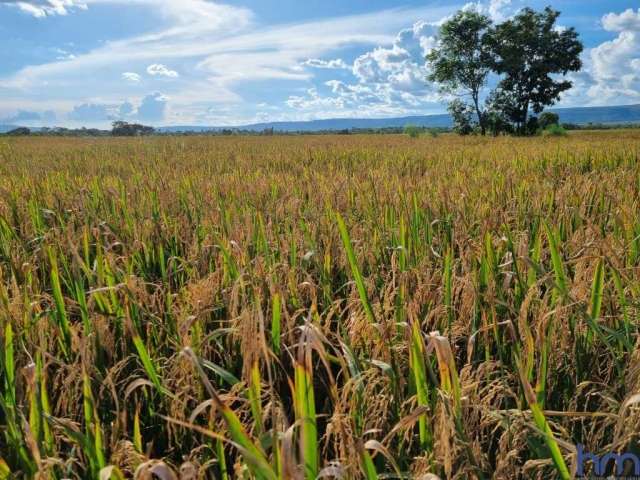 Ótima fazenda dupla aptidão com 7.400 hectares em nova mutum-mt