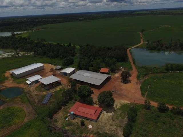 Fazenda com 955 alqueires dupla aptidão em divinópolis do tocantins - to