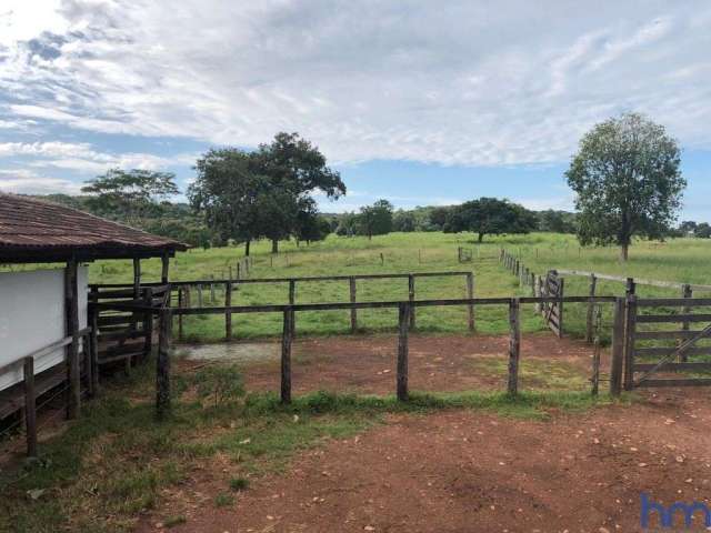 Fazenda com 90 alqueires dupla aptidão no município de jussara - go