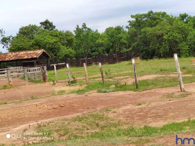 Fazenda 1.510 alqueires de dupla aptidão em silvanópolis-to