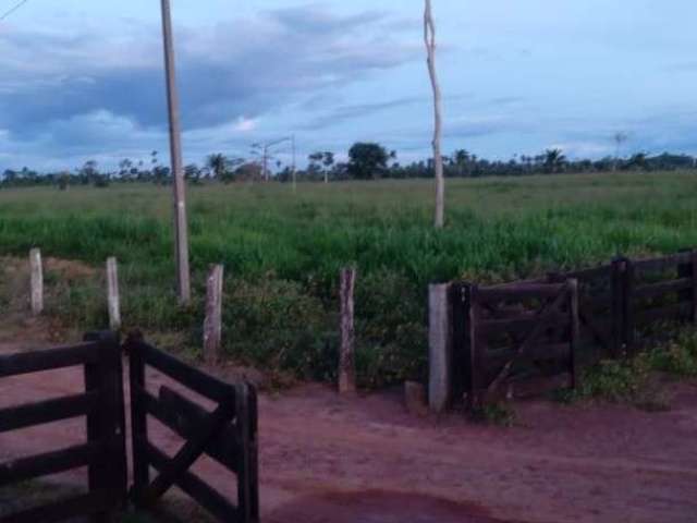 Fazenda para pecuária com 533 alqueires em tucumã - pa