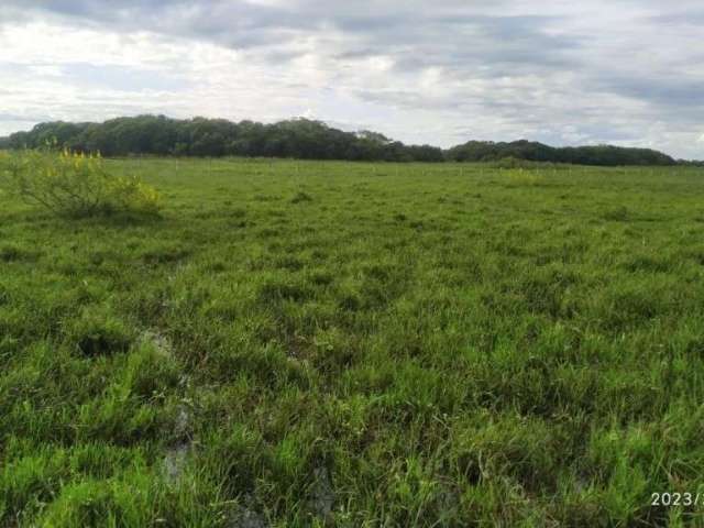 Fazenda para pecuária com 800 alqueires paulistas em aquidauana - ms