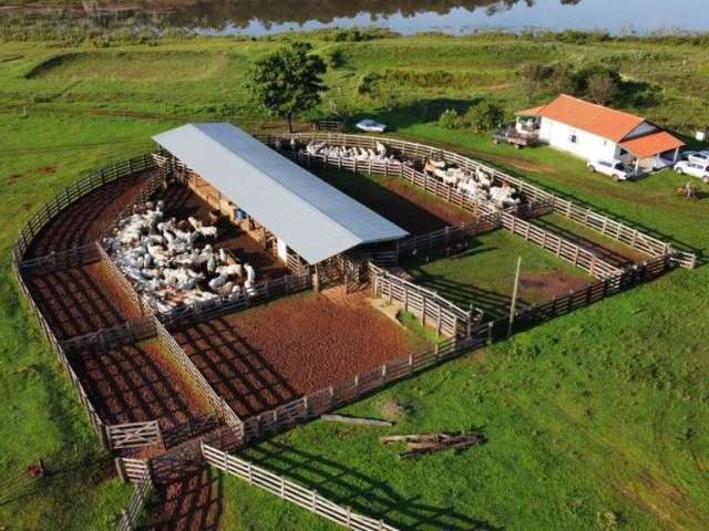 Fazenda com 401 alqueires paulistas dupla aptidão em nova andradina - ms