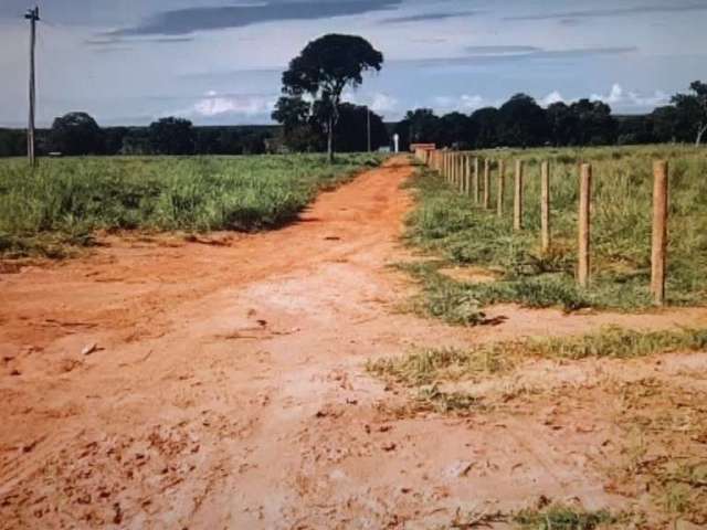 Fazenda com 251 alqueires dupla aptidão no município de peixe - to