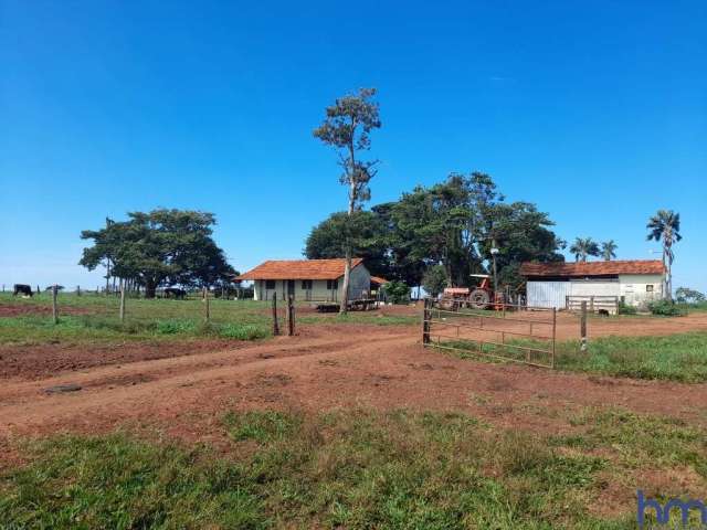 Fazenda dupla aptidão 145 alqueires em campina verde