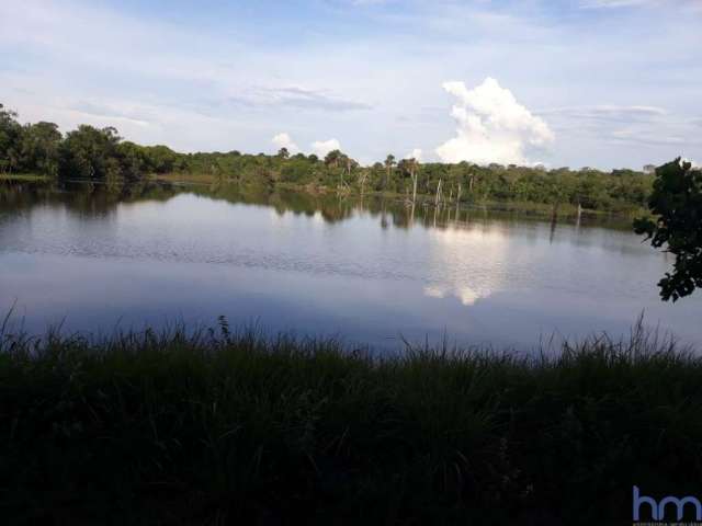 Fazenda dupla aptidão com 455 alqueires em duerê - to