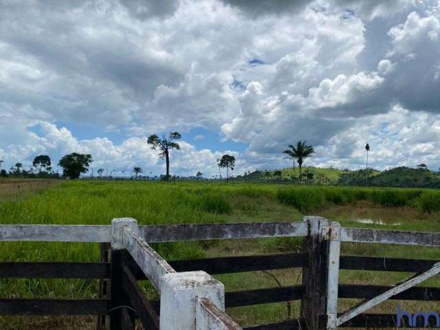 Fazenda dupla aptidão com 300 alqueires em são félix do xingu - pa