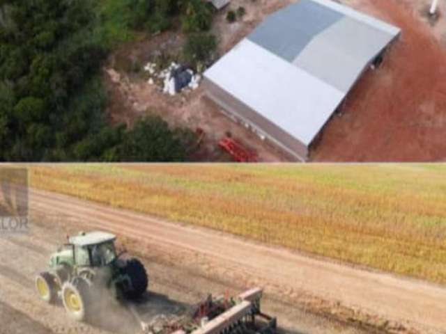 Fazenda dupla aptidão com 690 alqueires em araguaína - to