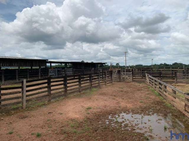 Fazenda com 600 alqueires dupla aptidão em são félix do xingu - pa