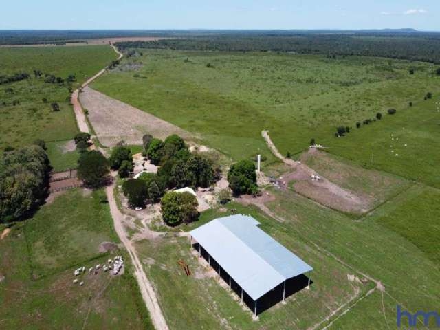 Fazenda dupla aptidão 680 alqueires em peixe-to