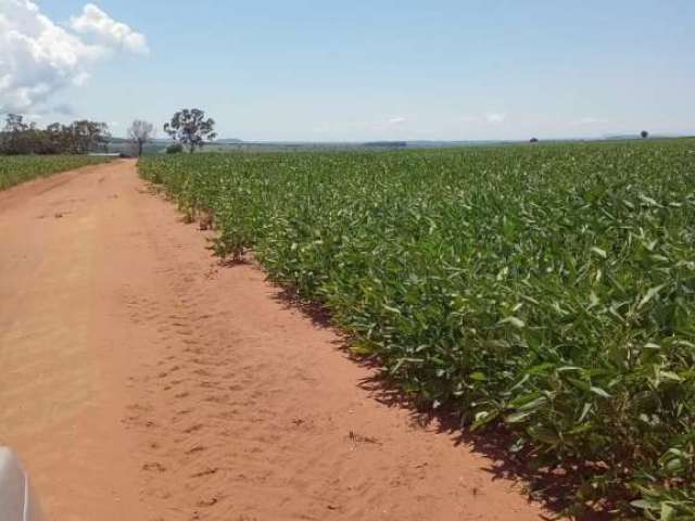 Fazenda com ótimo aproveitamento para agricultura com 300 alqueires em baliza-go